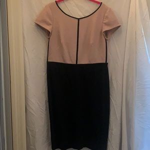 Anna Taylor Soft Pink and Black Suit Dress